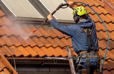 Démoussage et hydrofuge de toiture à Marguestau